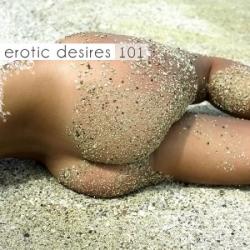 VA - Erotic Desires Volume 101