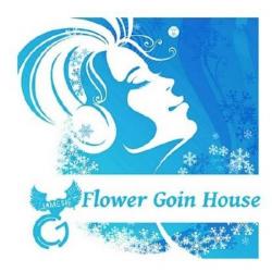 VA - Flower Goin House