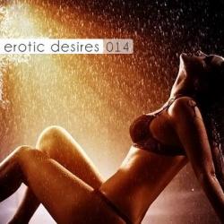 VA - Erotic Desires Volume 014