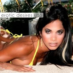 VA - Erotic Desires Volume 055