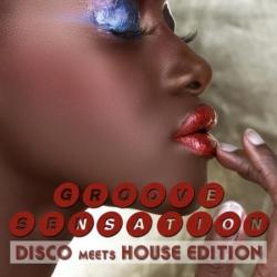 VA - Groove Sensation Vol.3: Disco Meets House Edition