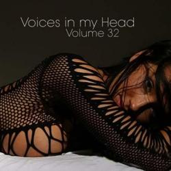 VA - Voices in my Head Volume 32