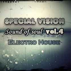 VA - Special Vision Electro House Vol.4