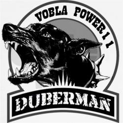 DJ Duberman Vobla Power 11