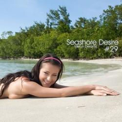VA - Seashore Desire #29