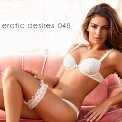 VA - Erotic Desires Volume 048