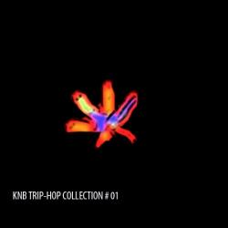 VA - KNB Trip-Hop Collection # 01