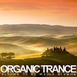 VA - Organic Trance Volume 1