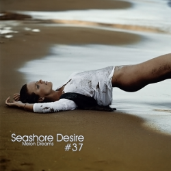 VA - Seashore Desire #37