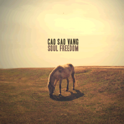 Cao Sao Vang - Soul Freedom