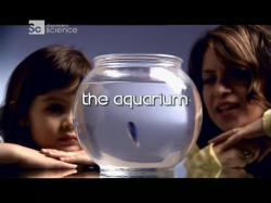   ?      / How Does it Work? The aquarium