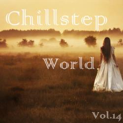 VA - Chillstep World Vol.14