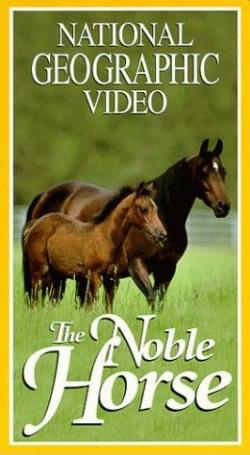 National Geographi:   / The Noble Horse