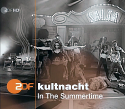 VA - Die ZDF-Kultnacht - In the Summertime