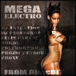 Mega Electro 2010 from DjmcBiT