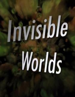 Discovery Science:  : . .   / Invisible Worlds VO