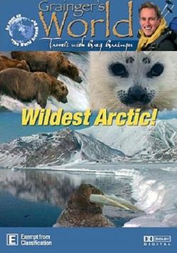   / Wildest Arctic (4   4) DUB