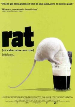   / Rat MVO