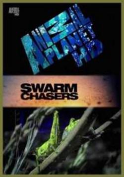   .  (1-2   2) / Swarm Chasers. Locusts VO