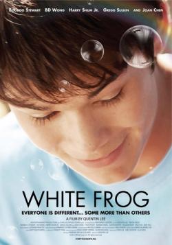   / White Frog DVO