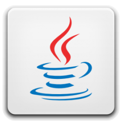 Java Runtime Environment 1.6.0.25