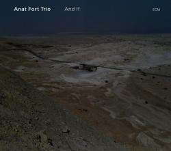 Anat Fort Trio - And If