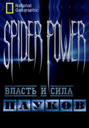     / Spider Power
