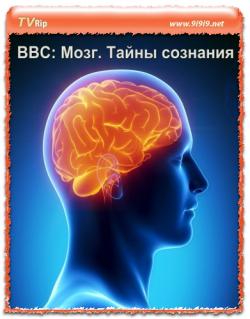 BBC:  .  / BBC: The Brain. A Secret History - Mind Control VO