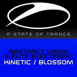 Abstract Vision - Kinetic / Blossom