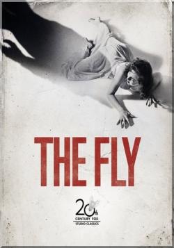  / The Fly MVO