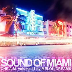 VA - Sound Of Miami: One A.M. Volume 11
