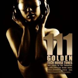 VA - 111 Golden Techhouse Tunes