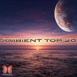 VA - Ambient Top 20