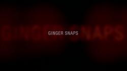  / Ginger Snaps