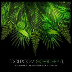 VA - Toolroom Goes Deep 3