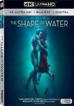   / The Shape of Water DUB