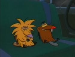  ,   79   79/The Angry Beavers - all seasons