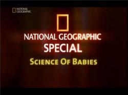 NG:    / Scince of bebies