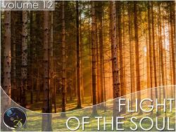 VA - Flight Of The Soul vol.12