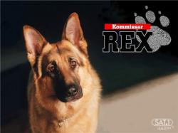  , 7 (10 ) / Komissar Rex