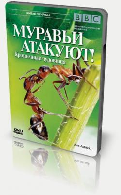 BBC:  ! / BBC: Ant Attack!
