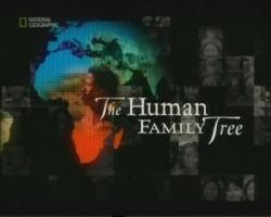   / National Geographic: The Human Family Tree