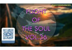 VA - Flight Of The Soul vol.36