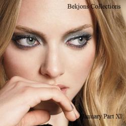 VA - Bekjons Collections - January Part XI