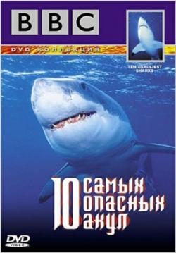 10    (1-2   2) / BBC. Top 10 Deadliest sharks VO
