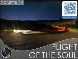 VA - Flight Of The Soul vol.14