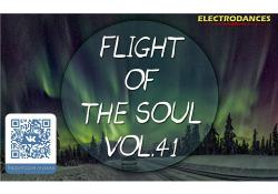 VA - Flight Of The Soul vol.41