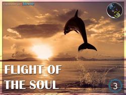 VA - Flight Of The Soul vol.3