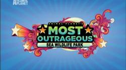  :   / Animal Planet's Most Outrageous: Sea Wildlife Park