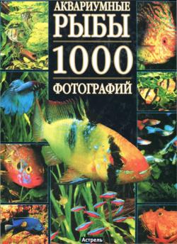 Аквариумные рыбы. 1000 фотографий